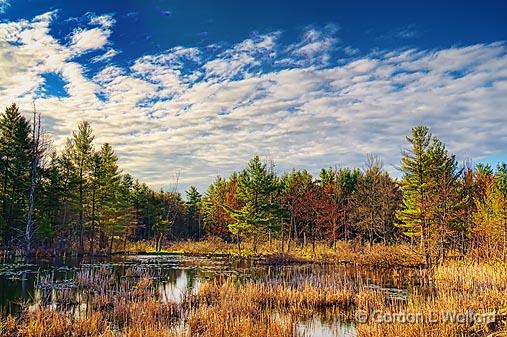 Morning Marsh_09644-6.jpg - Photographed near Westport, Ontario, Canada.